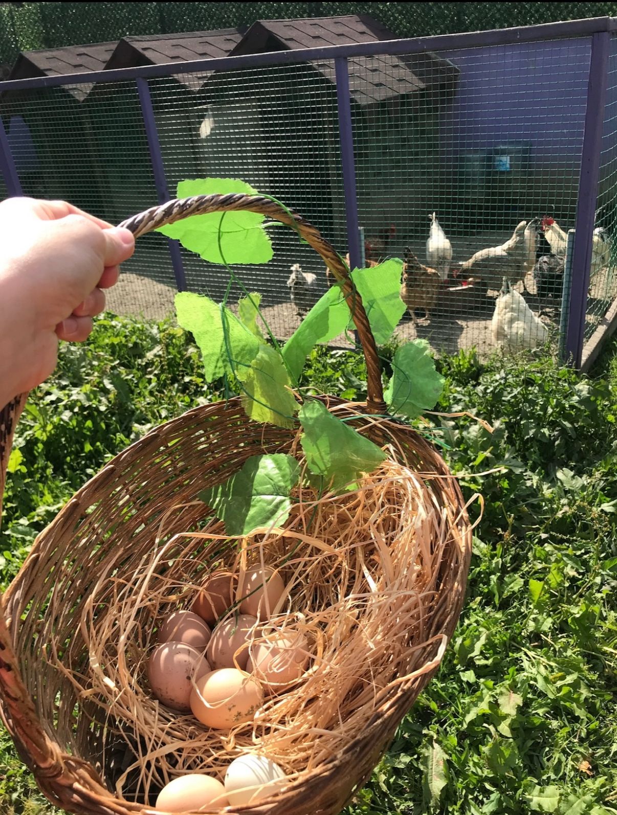 Özel Bilgi Bahçem Anaokulu 